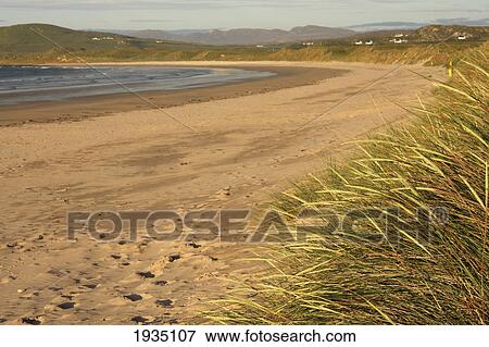 Stock Photo - Beach Grass By Sand And Shore; Kindrum, County Donegal, Ireland. Fotosearch