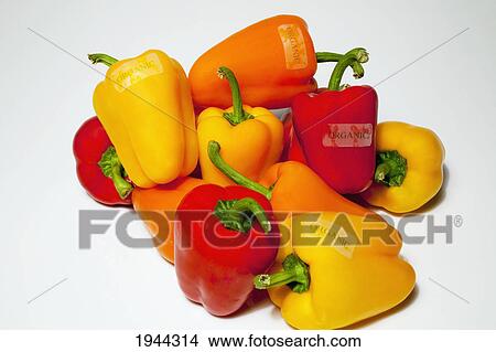Picture - bell peppers with organic labels; waterloo quebec canada. Fotosearch