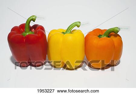 Stock Photo - bell peppers with organic labels; waterloo quebec canada. Fotosearch