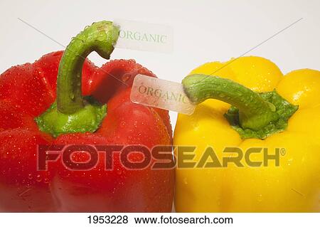 Stock Photo - bell peppers with organic labels; waterloo quebec canada. Fotosearch