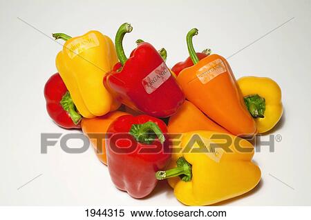 bell peppers with organic labels; waterloo quebec canada View Large Photo Image Stock Photography - bell peppers with organic labels; waterloo quebec canada. Fotosearch