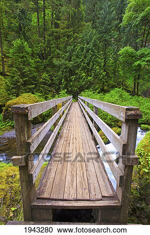 Stock Image - Boardwalk Along Tanner Creek In Columbia River Gorge National Scenic Area In The Pacific Northwest; Oregon United States Of America. Fotosearch