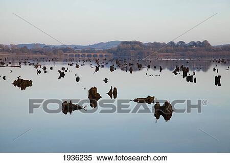 Body Of Water In Gearagh Nature Reserve; Macroom County Cork Ireland View Large Photo Image Stock Photography - Body Of Water In Gearagh Nature Reserve; Macroom County Cork Ireland. Fotosearch