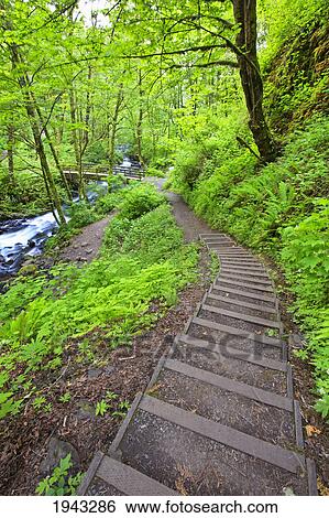 Stock Photograph - Bridal Veil Falls In Columbia River Gorge National Scenic Area In The Pacific Northwest; Oregon United States Of America. Fotosearch