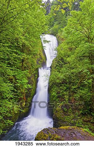 Stock Photography - Bridal Veil Falls In Columbia River Gorge National Scenic Area In The Pacific Northwest; Oregon United States Of America. Fotosearch