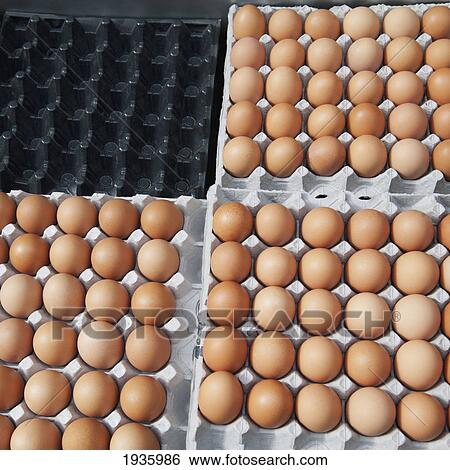 Stock Photograph - Brown Eggs In Carton; Busan Korea. Fotosearch