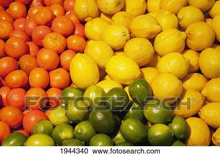 Stock Image - clementines lemons and limes in a pile; waterloo quebec canada. Fotosearch