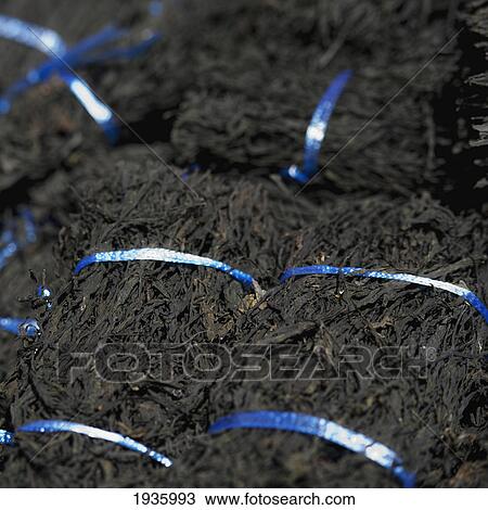 Stock Image - Close-Up Of Bundles Of Seaweed In Fish Market; Busan Korea. Fotosearch