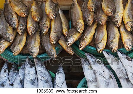 Close-Up Of Fresh Fish In Fish Market; Busan Korea View Large Photo Image Stock Photo - Close-Up Of Fresh Fish In Fish Market; Busan Korea. Fotosearch