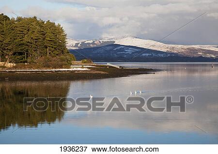 Stock Photo - Cloud Reflections In Kenmare Bay; Kenmare County Kerry Ireland. Fotosearch