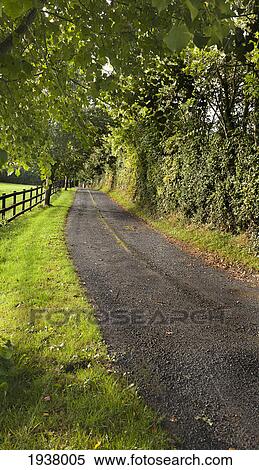 Country Lane; County Kilkenny Ireland View Large Photo Image Stock Photography - Country Lane; County Kilkenny Ireland. Fotosearch