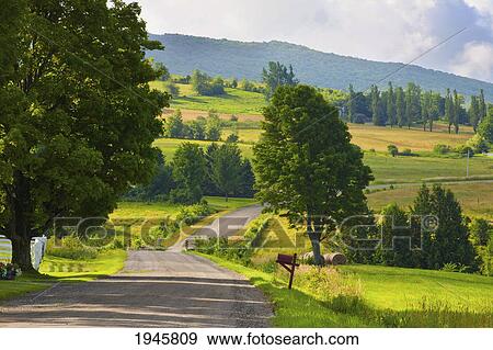 country road in the early morning light; west bolton quebec canada View Large Photo Image Stock Photo - country road in the early morning light; west bolton quebec canada. Fotosearch