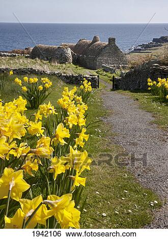 Stock Photograph - Crofters House Along The Water; Shetland Scotland. Fotosearch