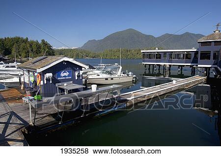 Dock In Front Of Weigh West Marine Resort Restaurant; Tofino, Vancouver Island, British Columbia, Canada View Large Photo Image Stock Photo - Dock In Front Of Weigh West Marine Resort Restaurant; Tofino, Vancouver Island, British Columbia, Canada. Fotosearch
