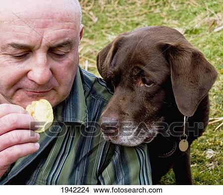 Dog Anxiously Looking At A Snack Held In A Man's Hand; Pooley Bridge Lake District Cumbria England View Large Photo Image Picture - Dog Anxiously Looking At A Snack Held In A Man's Hand; Pooley Bridge Lake District Cumbria England. Fotosearch