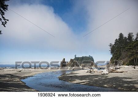 Picture - Driftwood And Rock Formations Along The Coast; Abbey Island Washington United States Of America. Fotosearch