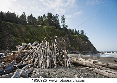Driftwood Piled As A Shelter On The Beach; La Push Washington United States Of America View Large Photo Image Stock Photography - Driftwood Piled As A Shelter On The Beach; La Push Washington United States Of America. Fotosearch