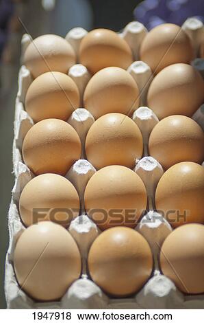 Stock Photo - eggs in a carton; berkeley california united states of america. Fotosearch