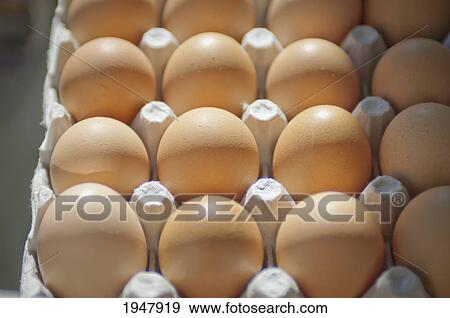 Stock Photo - eggs in a carton; berkeley california united states of america. Fotosearch