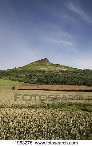 farm fields with a hill in the background; rosberry topping north yorkshire england View Large Photo Image Stock Photograph - farm fields with a hill in the background; rosberry topping north yorkshire england. Fotosearch