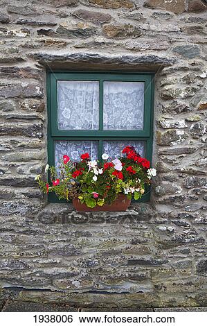 Flowers Outside Window Of Gallarus Oratory Church; County Kerry Ireland View Large Photo Image Stock Photograph - Flowers Outside Window Of Gallarus Oratory Church; County Kerry Ireland. Fotosearch