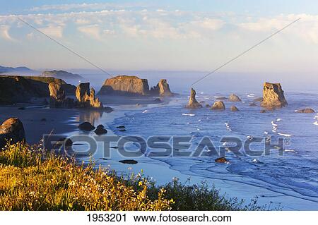 Stock Image - fog covers rock formations along the coast at bandon state park; bandon oregon united states of america. Fotosearch