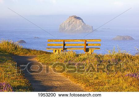 Stock Image - fog covers rock formations and a bench along the coast at bandon state park; bandon oregon united states of america. Fotosearch
