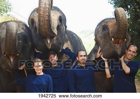Stock Photography - Four Tourists Pose With Elephants In Thailand; Chiang Mai Thailand. Fotosearch