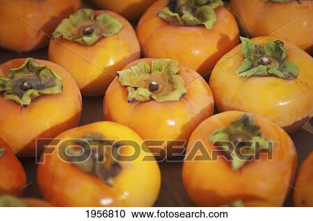 Stock Image - fuyu persimmon; berkeley california united states of america. Fotosearch
