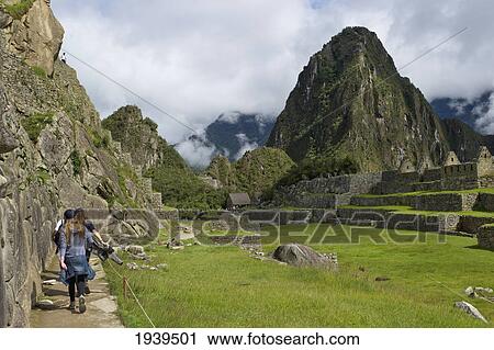 Girls Walking Through Machu Picchu; Peru View Large Photo Image Stock Image - Girls Walking Through Machu Picchu; Peru. Fotosearch