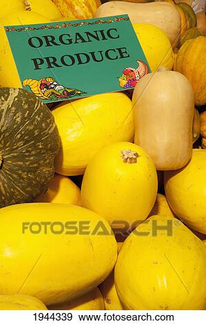 gourds and squash with a sign labeled organic produce; waterloo quebec canada View Large Photo Image Stock Photo - gourds and squash with a sign labeled organic produce; waterloo quebec canada. Fotosearch