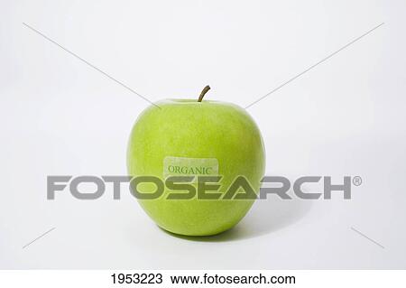 granny smith apple with an organic label; waterloo quebec canada View Large Photo Image Stock Image - granny smith apple with an organic label; waterloo quebec canada. Fotosearch