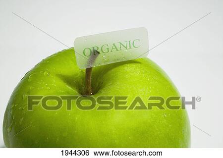 granny smith apple with water drops and an organic label; waterloo quebec canada View Large Photo Image Stock Photograph - granny smith apple with water drops and an organic label; waterloo quebec canada. Fotosearch