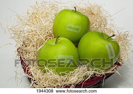 granny smith apples in a basket labeled organic; waterloo quebec canada View Large Photo Image Stock Photo - granny smith apples in a basket labeled organic; waterloo quebec canada. Fotosearch