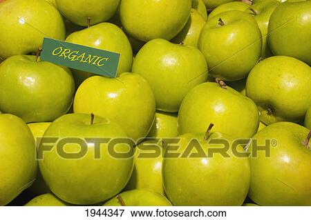 Stock Photo - granny smith apples with a sign labeled organic; waterloo quebec canada. Fotosearch