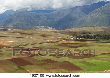 Green And Brown Fields In A Valley; Sacred Valley Peru View Large Photo Image Stock Image - Green And Brown Fields In A Valley; Sacred Valley Peru. Fotosearch