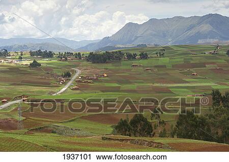 Green And Brown Fields In A Valley; Sacred Valley Peru View Large Photo Image Stock Image - Green And Brown Fields In A Valley; Sacred Valley Peru. Fotosearch