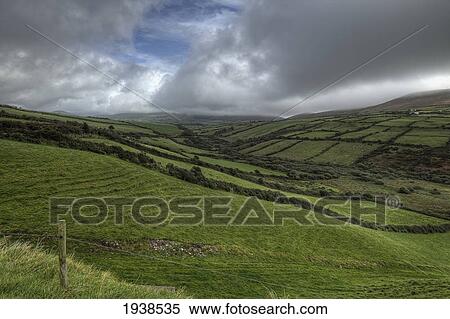 Green Rural Landscape Of Dingle Peninsula; County Kerry Ireland View Large Photo Image Stock Photography - Green Rural Landscape Of Dingle Peninsula; County Kerry Ireland. Fotosearch
