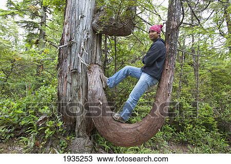 Stock Image - Hiker Rests In The Crook Of A Large Tree Branch On The Wild Pacific Trail; Ucluelet, Vancouver Island, British Columbia, Canada. Fotosearch