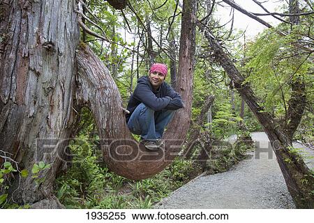 Stock Photography - Hiker Rests In The Crook Of A Large Tree Branch On The Wild Pacific Trail; Ucluelet, Vancouver Island, British Columbia, Canada. Fotosearch