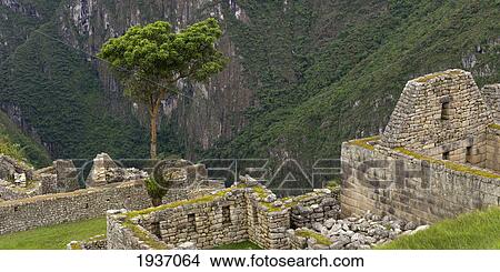 Historical Buildings At Machu Picchu; Peru View Large Photo Image Picture - Historical Buildings At Machu Picchu; Peru. Fotosearch