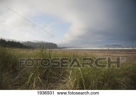 Hobuck Beach; Washington United States Of America View Large Photo Image Stock Image - Hobuck Beach; Washington United States Of America. Fotosearch