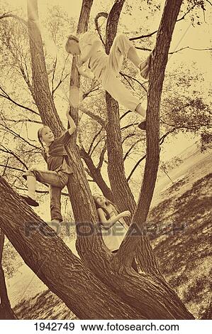 Stock Photo - Kids Playing Up In A Tree; Edmonton Alberta Canada. Fotosearch