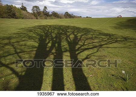 Stock Photo - Kilkenny Castle Park; Kilkenny County Kilkenny Ireland. Fotosearch