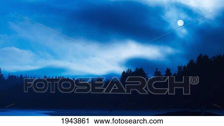 Long Beach With A Full Moon At Night; Tofino British Columbia Canada View Large Photo Image Stock Image - Long Beach With A Full Moon At Night; Tofino British Columbia Canada. Fotosearch