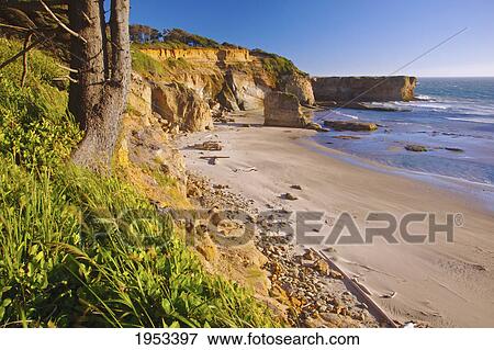 low tide along the coast; oregon united states of america View Large Photo Image Stock Photo - low tide along the coast; oregon united states of america. Fotosearch