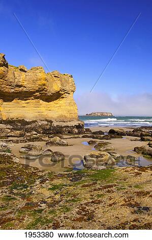 low tide and rock formations at otter rock beach; oregon united states of america View Large Photo Image Stock Image - low tide and rock formations at otter rock beach; oregon united states of america. Fotosearch