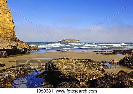 Stock Image - low tide and rock formations at otter rock beach; oregon united states of america. Fotosearch