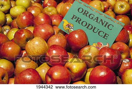 Stock Image - macintosh apples with a sign labeled organic produce; waterloo quebec canada. Fotosearch