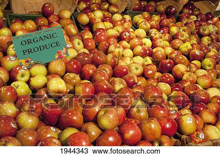 Stock Image - macintosh apples with a sign labeled organic produce; waterloo quebec canada. Fotosearch